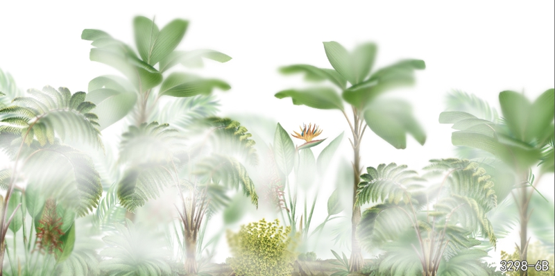 热带植物