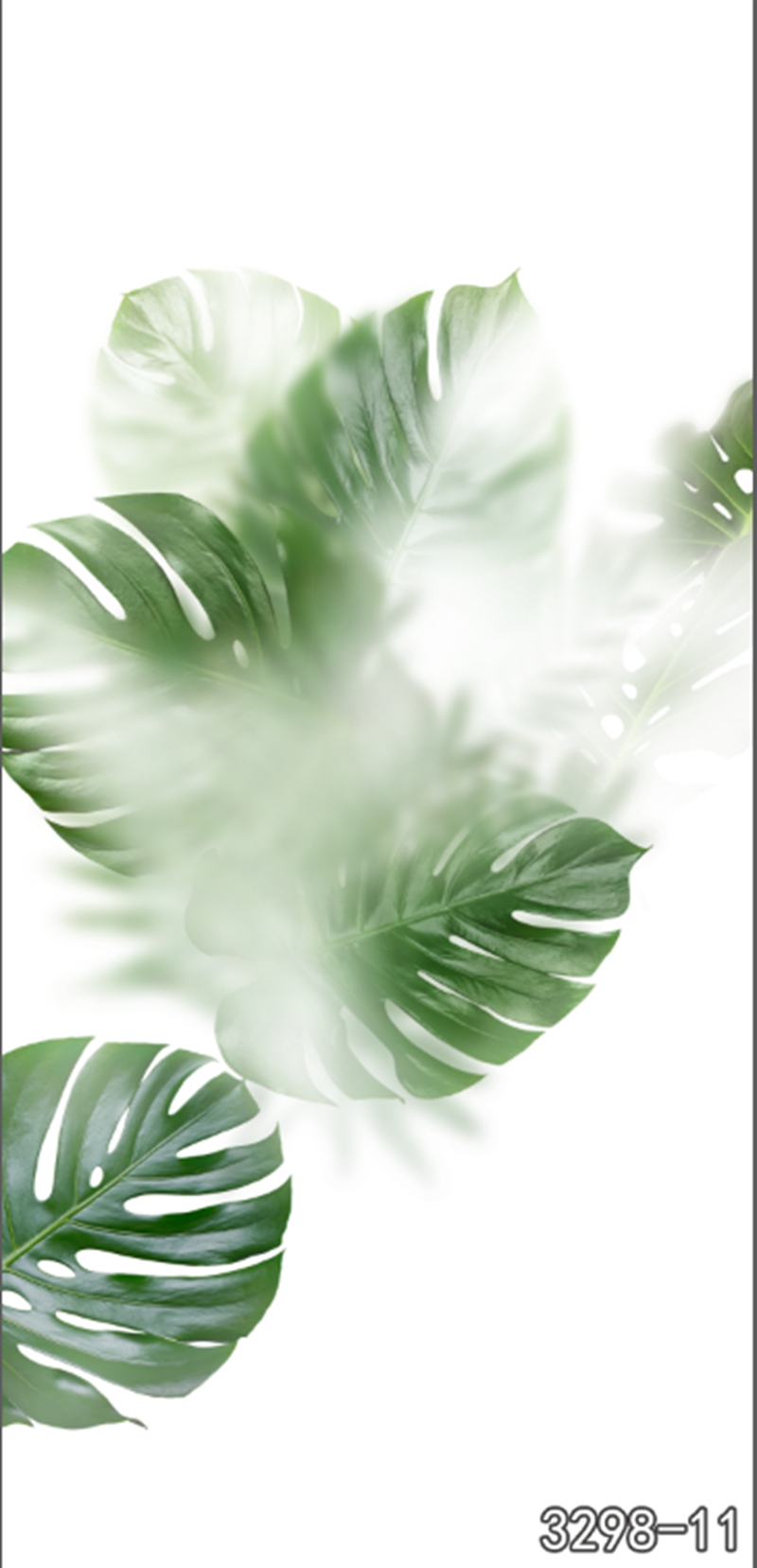 热带植物