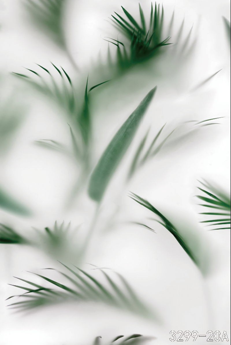 热带植物